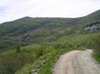 1580m