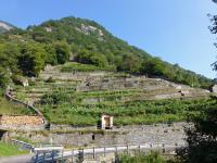 Linescio, hameau en terasses / I terrazzi di Linescio