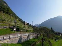 Linescio