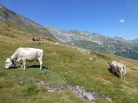 Retour sur Bosco Gurin