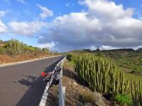 Près de la Degollada de Piedras Caídas. ES-GC-0397a