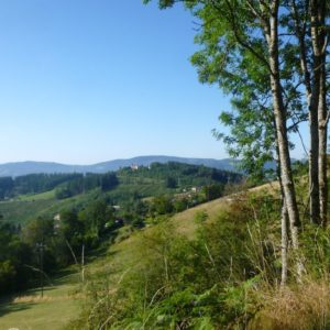 V4 paysage du Beaujolais ©Ph Chazottier
